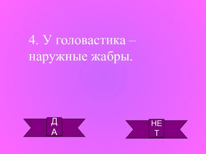 ДА НЕТ 4. У головастика – наружные жабры.