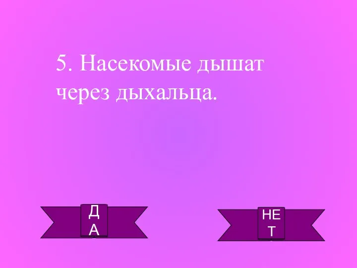 ДА НЕТ 5. Насекомые дышат через дыхальца.