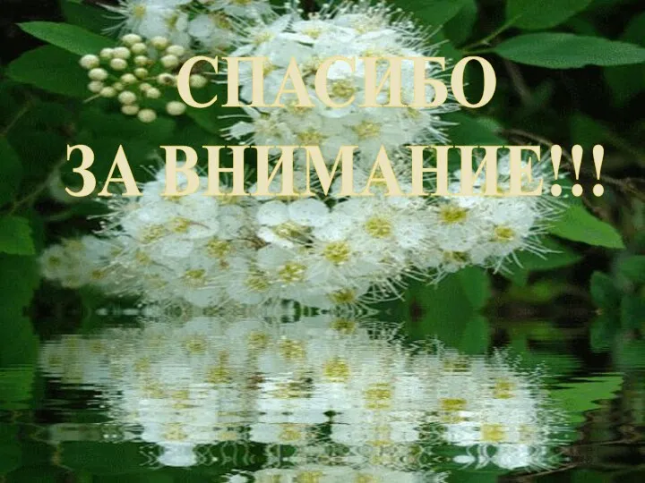 СПАСИБО ЗА ВНИМАНИЕ!!!
