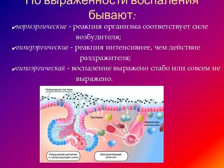 По выраженности воспаления бывают: нормэргические - реакция организма соответствует силе возбудителя; гиперэргические