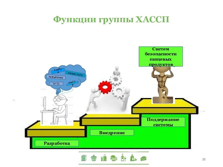 Функции группы ХАССП Поддержание системы СанПиН НАССР ТР ТС возможности Разработка Внедрение