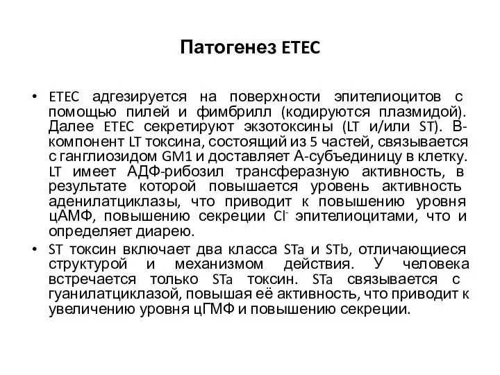 Патогенез ETEC ETEC адгезируется на поверхности эпителиоцитов с помощью пилей и фимбрилл