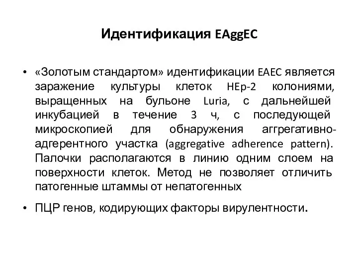 Идентификация EAggEC «Золотым стандартом» идентификации EAEC является заражение культуры клеток HEp-2 колониями,