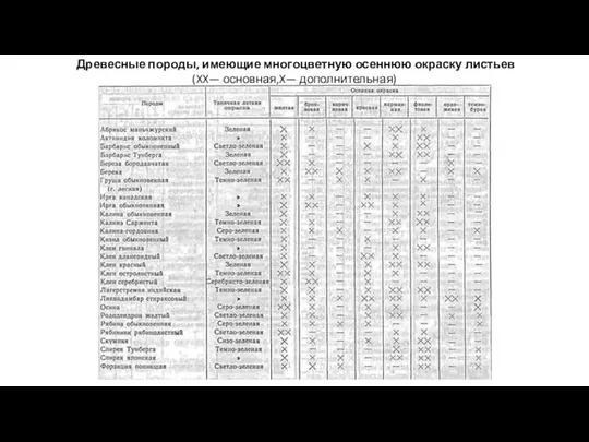 Древесные породы, имеющие многоцветную осеннюю окраску листьев (XX— основная,X— дополнительная)