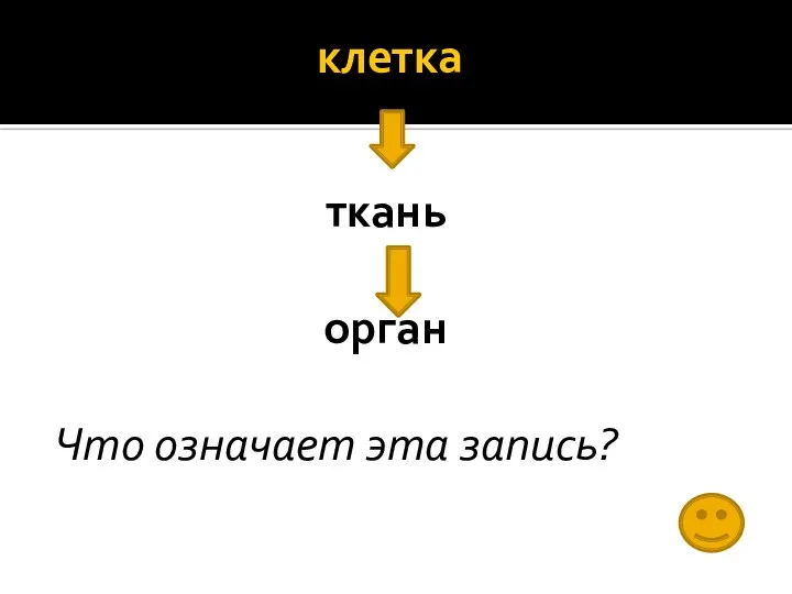 клетка ткань орган Что означает эта запись?