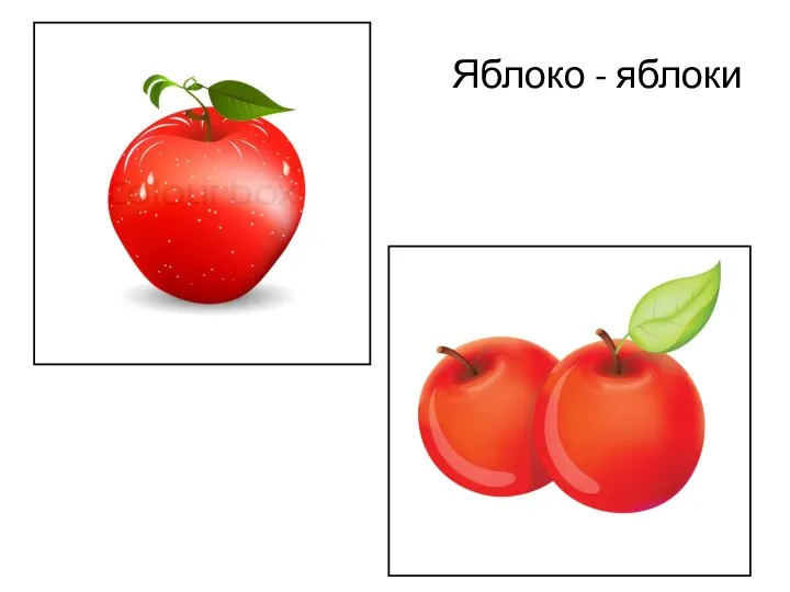 Яблоко - яблоки