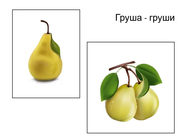 Груша - груши