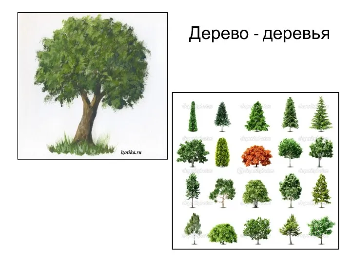 Дерево - деревья