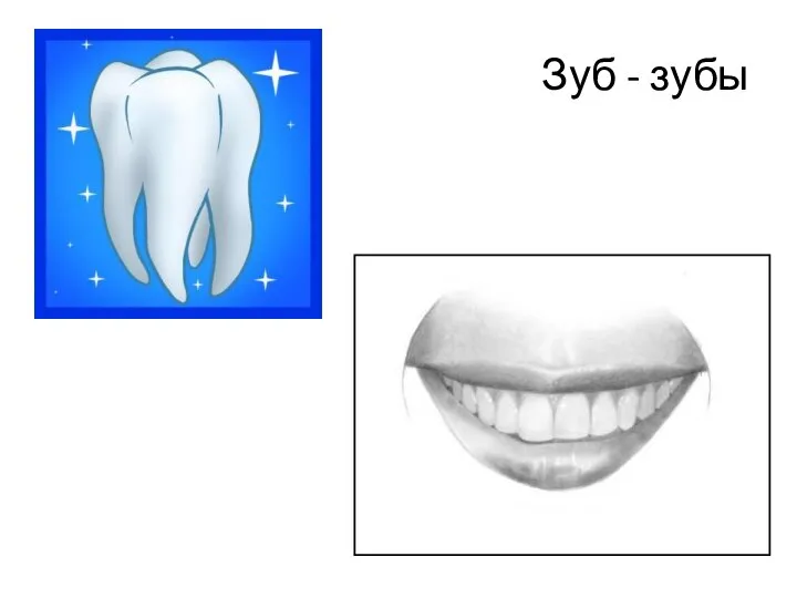 Зуб - зубы