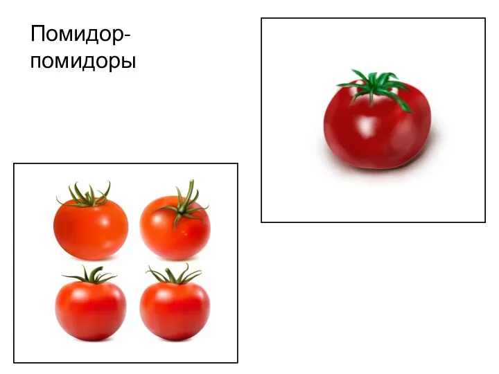 Помидор- помидоры