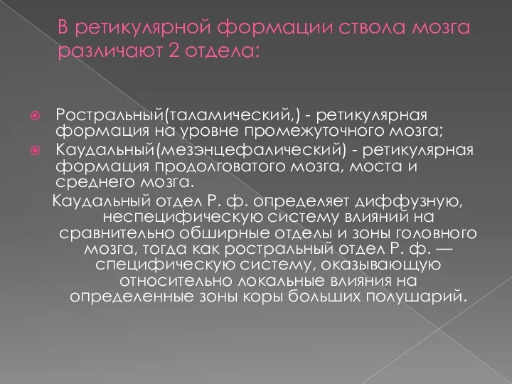 В ретикулярной формации ствола мозга различают 2 отдела: Ростральный(таламический,) - ретикулярная формация