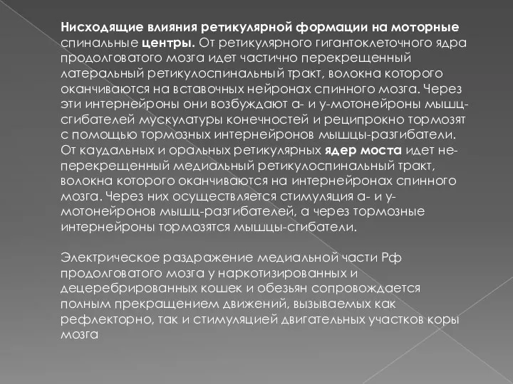 Нисходящие влияния ретикулярной формации на моторные спинальные центры. От ретикулярного гигантоклеточного ядра