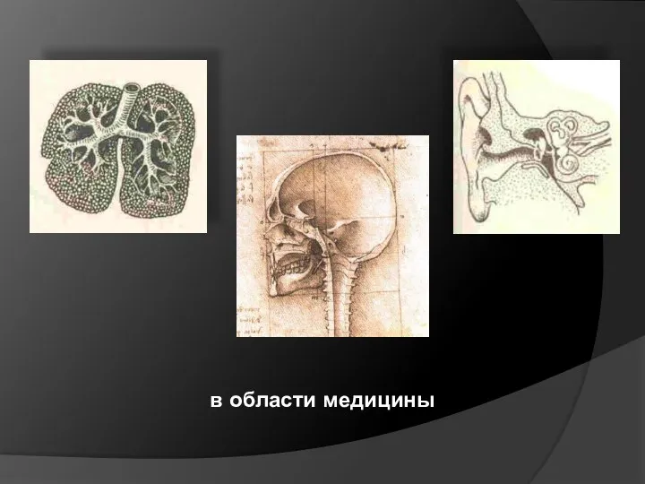 в области медицины