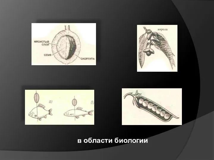 в области биологии