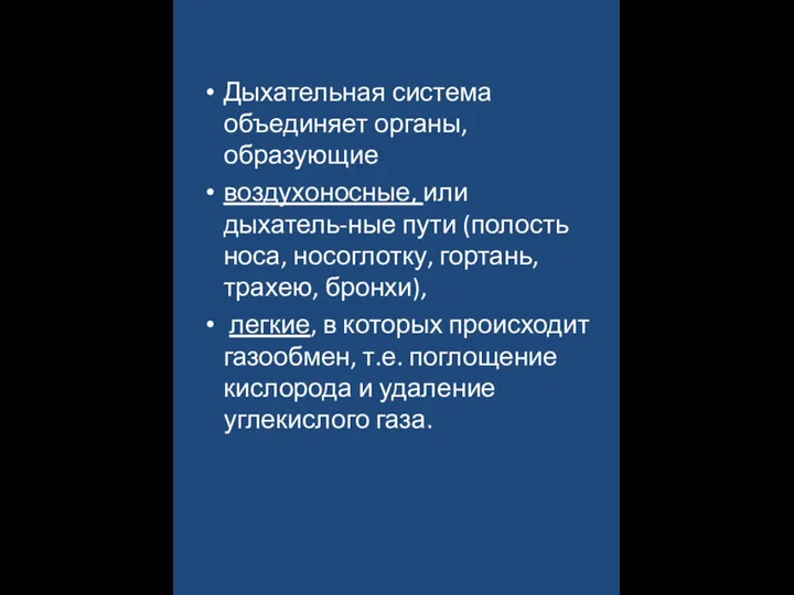 Дыхательная система объединяет органы, образующие воздухоносные, или дыхатель-ные пути (полость носа, носоглотку,