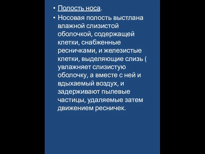 Полость носа. Носовая полость выстлана влажной слизистой оболочкой, содержащей клетки, снабженные ресничками,