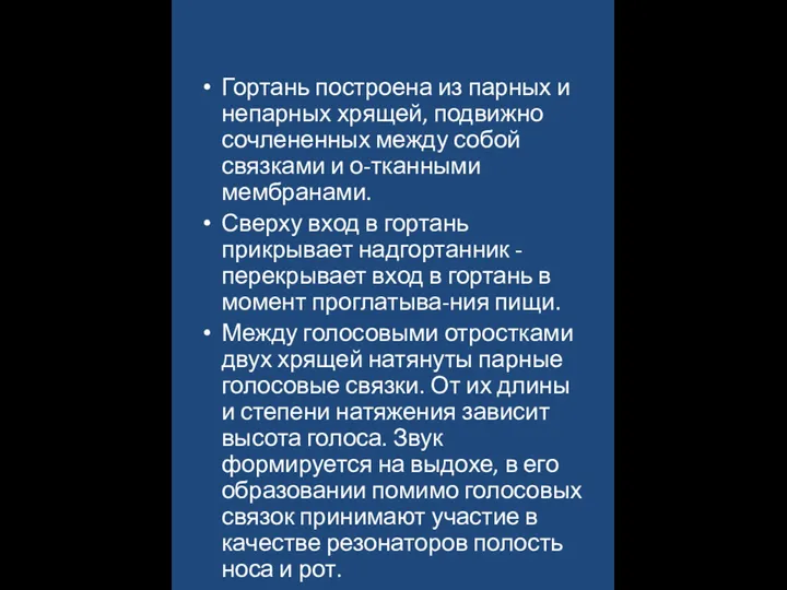 Гортань построена из парных и непарных хрящей, подвижно сочлененных между собой связками