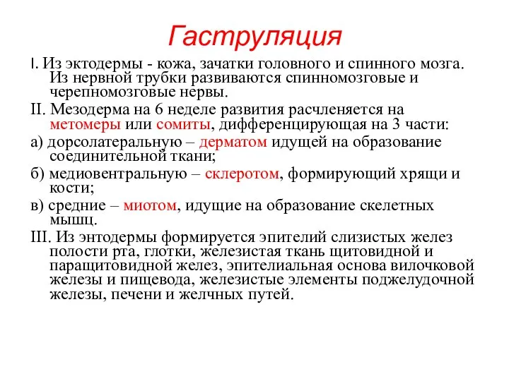 Гаструляция I. Из эктодермы - кожа, зачатки головного и спинного мозга. Из