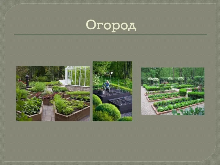 Огород