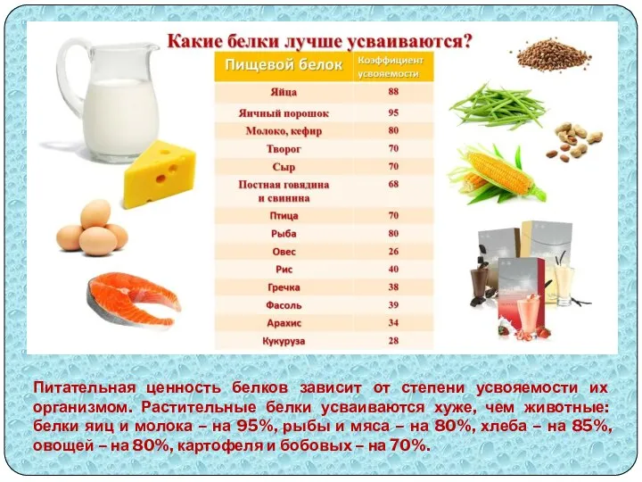 Питательная ценность белков зависит от степени усвояемости их организмом. Растительные белки усваиваются