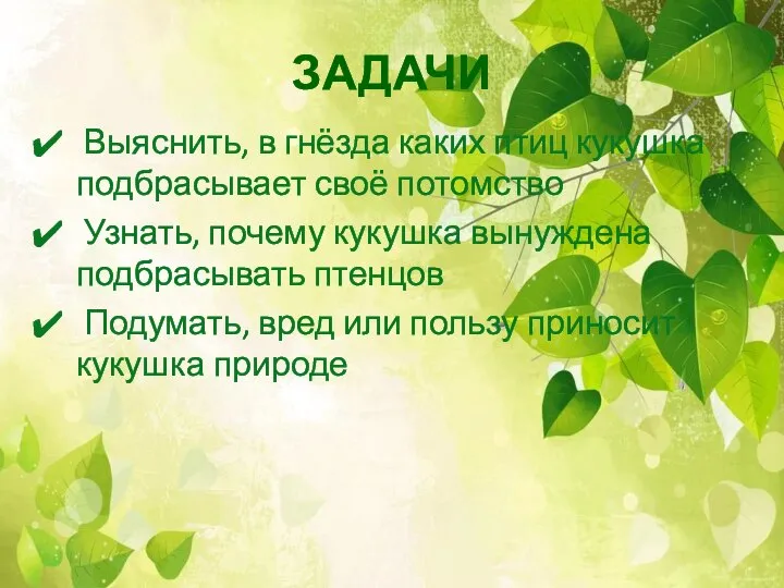 ЗАДАЧИ Выяснить, в гнёзда каких птиц кукушка подбрасывает своё потомство Узнать, почему