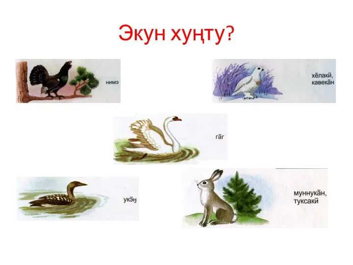 Экун хуңту?