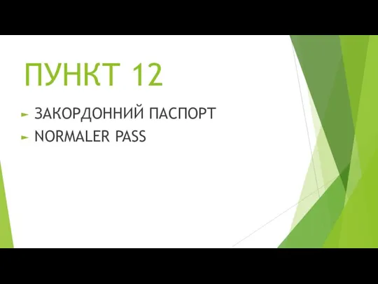 ПУНКТ 12 ЗАКОРДОННИЙ ПАСПОРТ NORMALER PASS