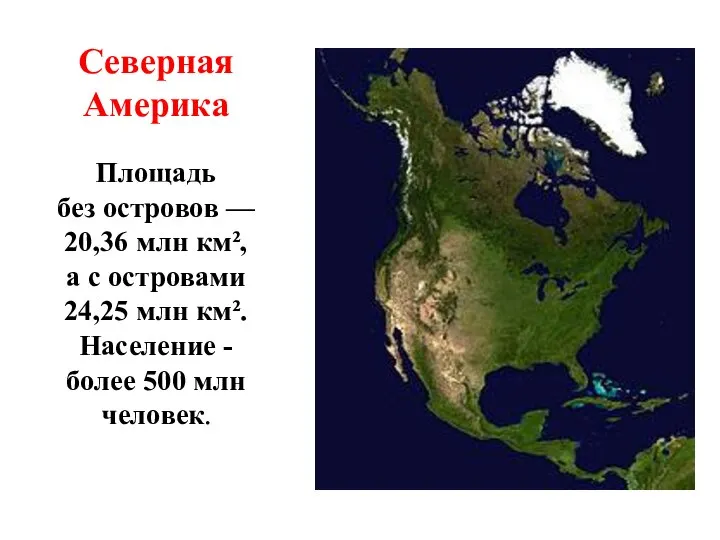 Северная Америка Площадь без островов — 20,36 млн км², а с островами