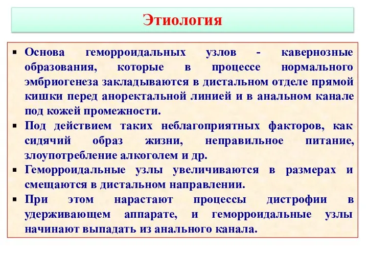 Основа геморроидальных узлов - кавернозные образования, которые в процессе нормального эмбриогенеза закладываются