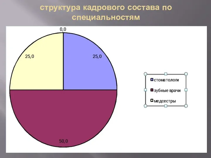 структура кадрового состава по специальностям