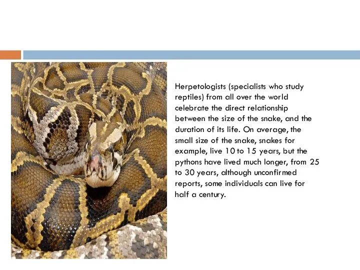 Herpetologists (specialists who study reptiles) from all over the world celebrate the