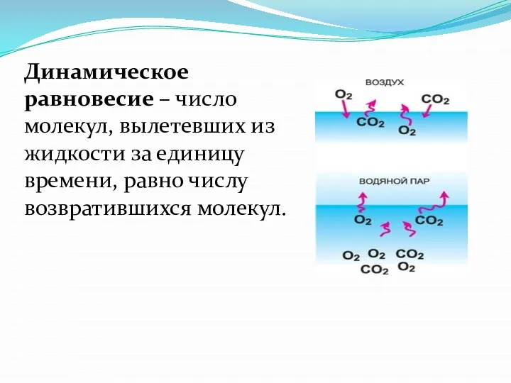 Динамическое равновесие – число молекул, вылетевших из жидкости за единицу времени, равно числу возвратившихся молекул.