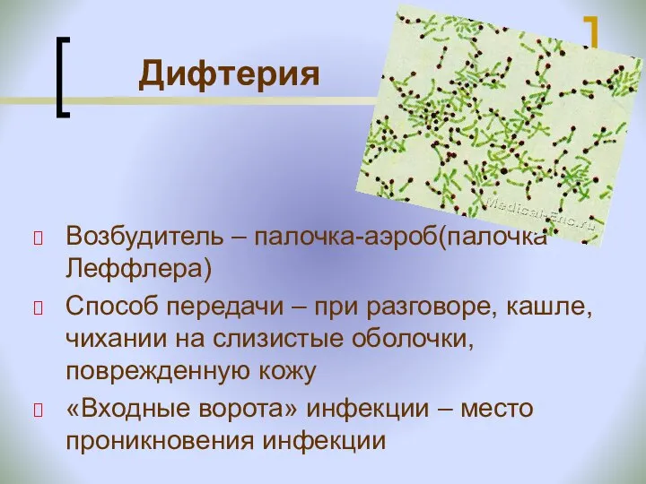 Дифтерия Возбудитель – палочка-аэроб(палочка Леффлера) Способ передачи – при разговоре, кашле, чихании