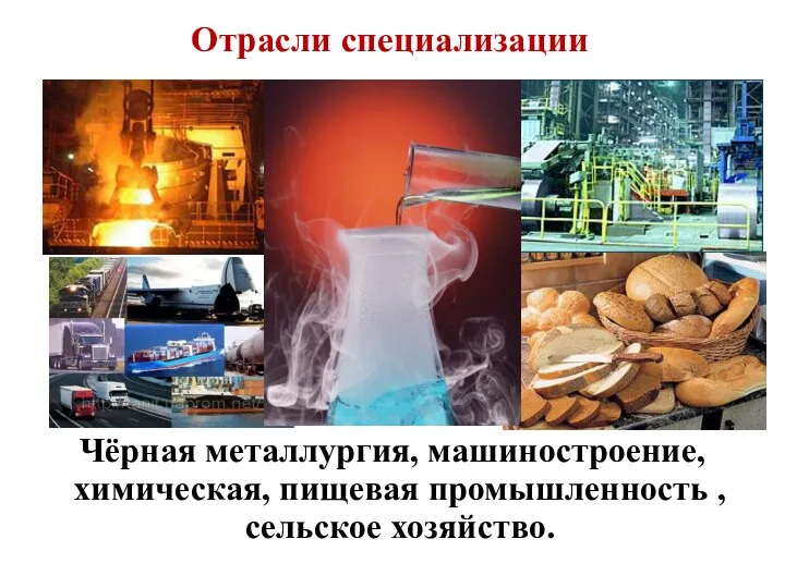 Отрасли специализации Чёрная металлургия, машиностроение, химическая, пищевая промышленность , сельское хозяйство.