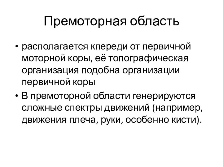 Премоторная область располагается кпереди от первичной моторной коры, её топографическая организация подобна