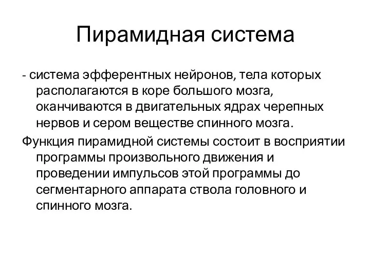 Пирамидная система - система эфферентных нейронов, тела которых располагаются в коре большого