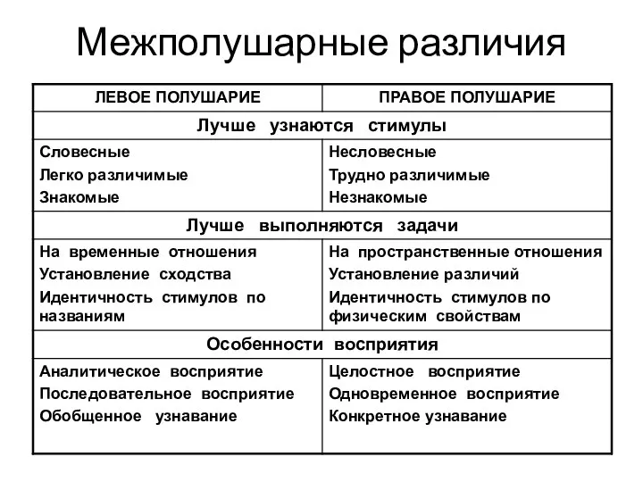 Межполушарные различия