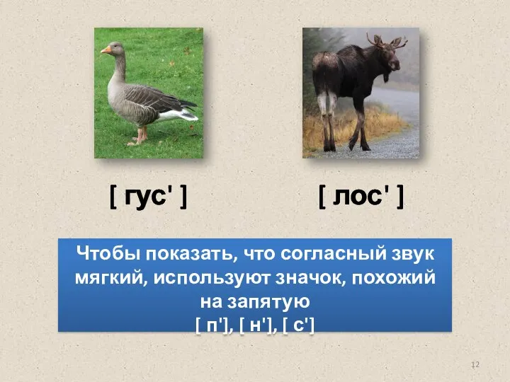 [ гус' ] [ лос' ] Чтобы показать, что согласный звук мягкий,