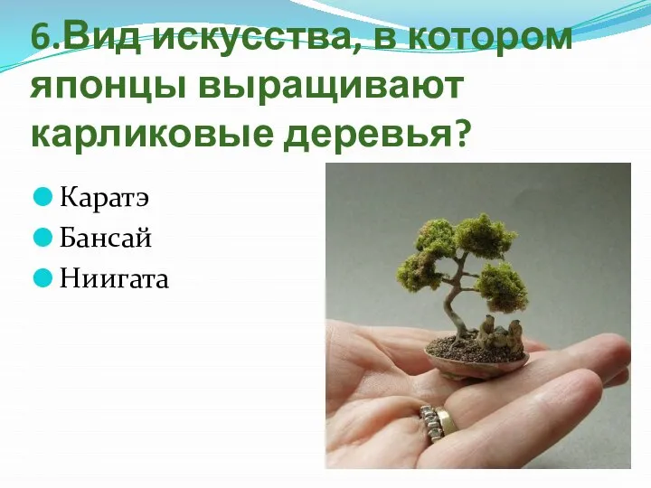 6.Вид искусства, в котором японцы выращивают карликовые деревья? Каратэ Бансай Ниигата