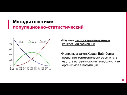 Методы генетики: популяционно-статистический Изучает распространение гена в конкретной популяции Например: закон Харди-Вайнберга