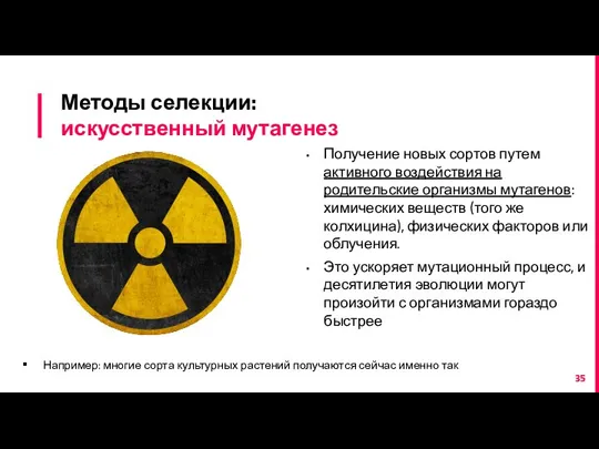 Методы селекции: искусственный мутагенез Получение новых сортов путем активного воздействия на родительские