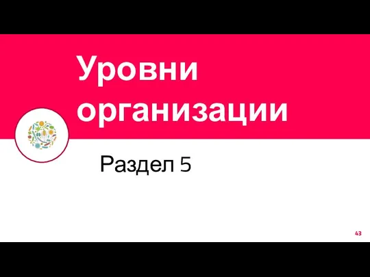 Уровни организации Раздел 5