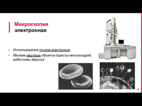 Микроскопия электронная Использование пучков электронов Мелкие мертвые объекты (кристы митохондрий, рибосомы, вирусы)