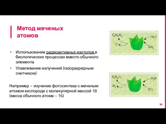 Метод меченых атомов Использование радиоактивных изотопов в биологических процессах вместо обычного элемента