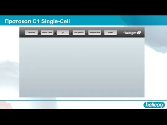 Протокол С1 Single-Cell
