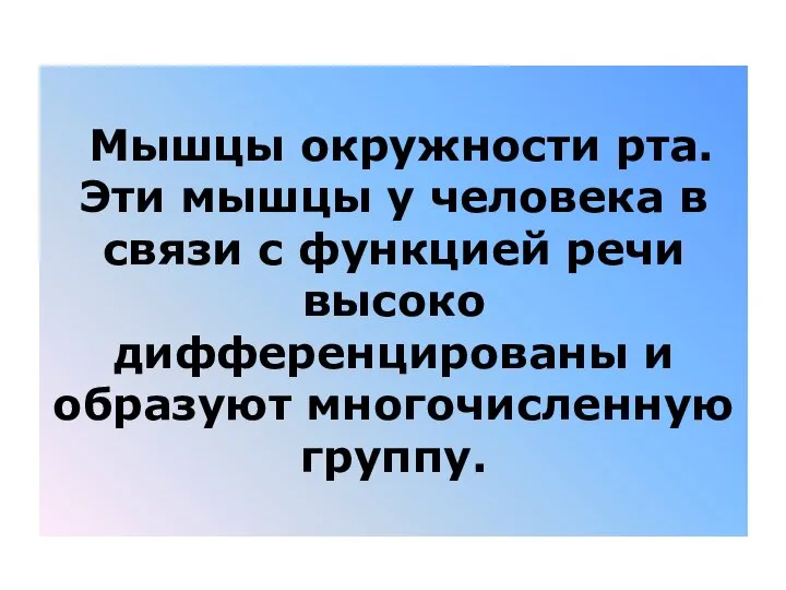 Мышцы окружности рта. Эти мышцы у человека в связи с функцией речи