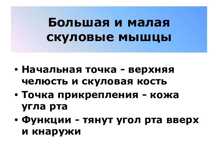 Большая и малая скуловые мышцы Начальная точка - верхняя челюсть и скуловая