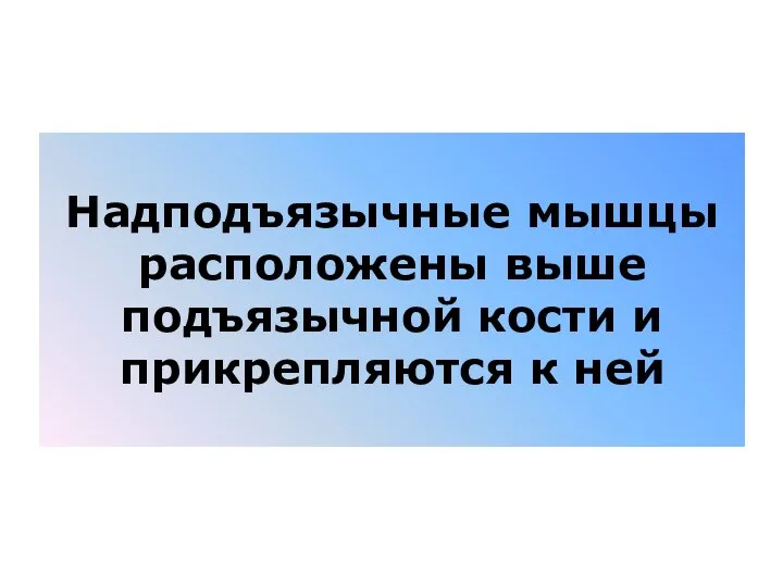 Надподъязычные мышцы расположены выше подъязычной кости и прикрепляются к ней