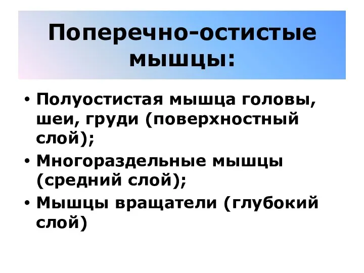 Поперечно-остистые мышцы: Полуостистая мышца головы, шеи, груди (поверхностный слой); Многораздельные мышцы (средний