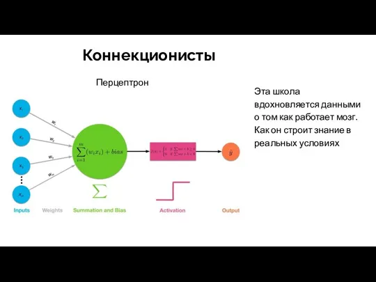 Коннекционисты Эта школа вдохновляется данными о том как работает мозг. Как он